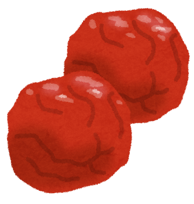 food_umeboshi.png